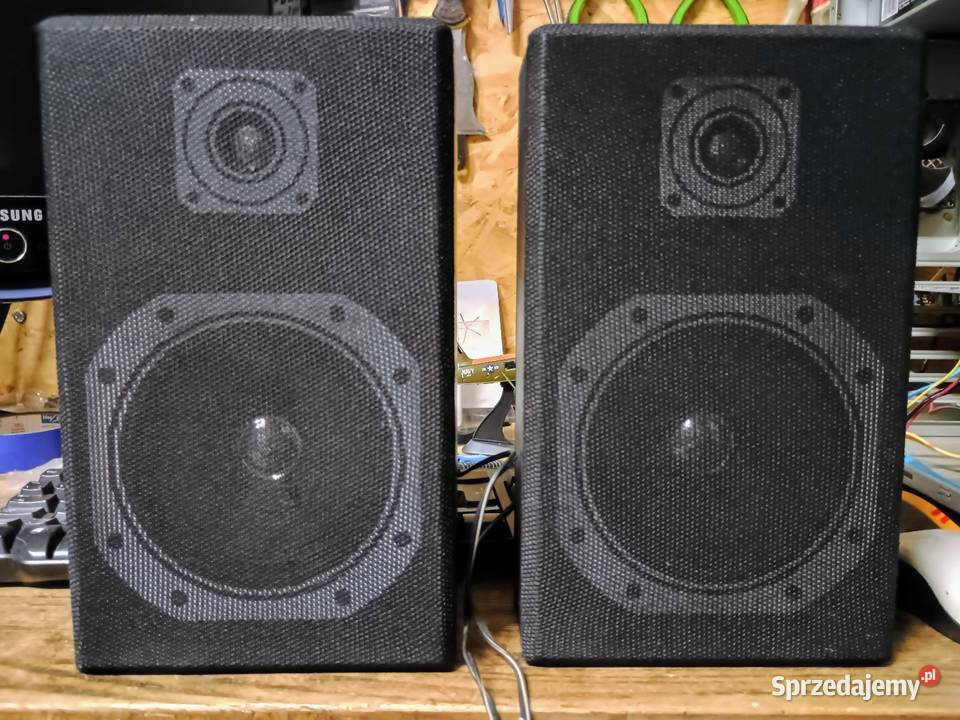 Kolumny głośnikowe wielkopolskie Wągrowiec