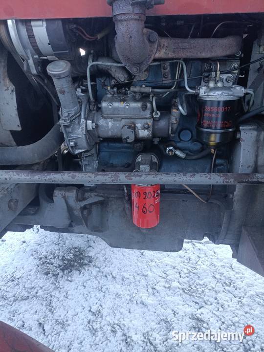 Massey Ferguson 255 MF255 Gąsiorowice