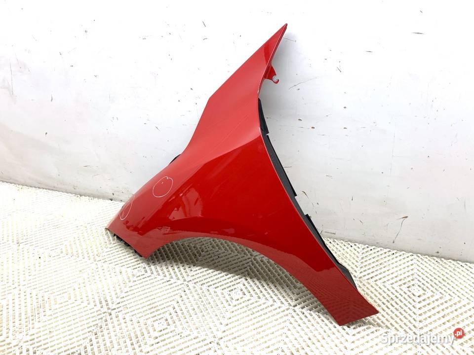 BŁOTNIK LEWY PRZÓD RENAULT MEGANE III Kabriolet podkarpackie