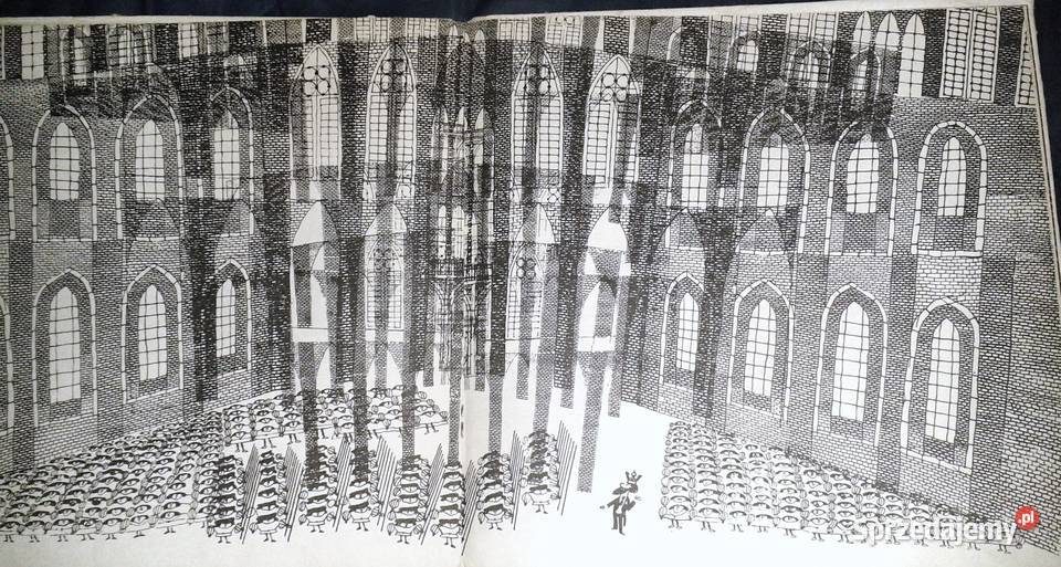 Baśń o królu Dardanelu Janusz Stanny Rok wydania 1971 Chełm sprzedam