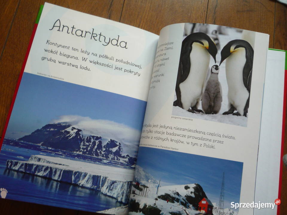 NOWA Moja pierwsza encyklopedia świata P dla dzieci z klas I-III (6-9 lat)  Szczecin