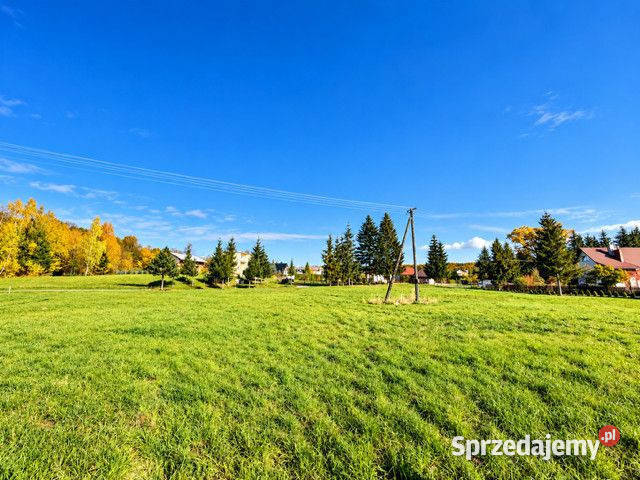 Działka na sprzedaż Humniska 8113m2 sprzedam