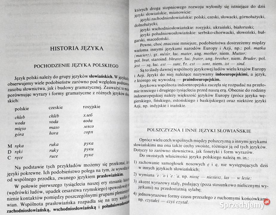 Vademecum maturzysty Język polski Stanisława Chełm