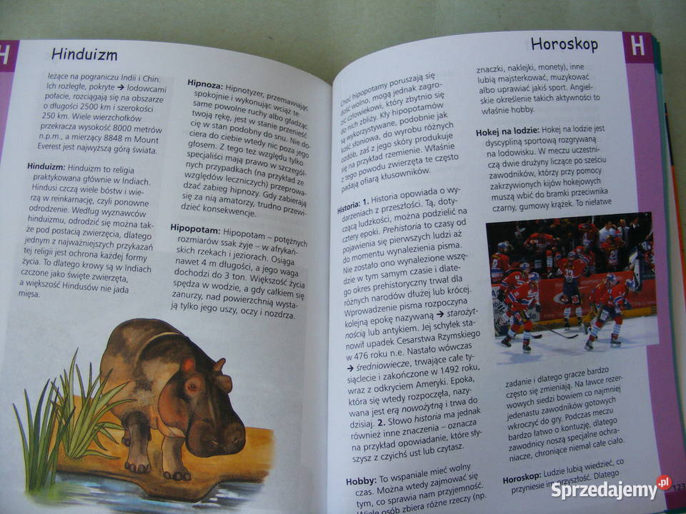 Encyklopedia szkolna Polska dzieci 200 pytań Książki dla dzieci dolnośląskie Oborniki Śląskie