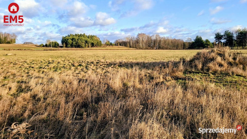 Sprzedam grunt Niecki 1398m2 woda Sprzedaż sprzedam