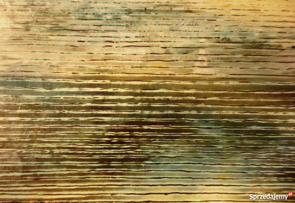 Sprzedam obraz 100x120 olej płótno Jelenia Góra