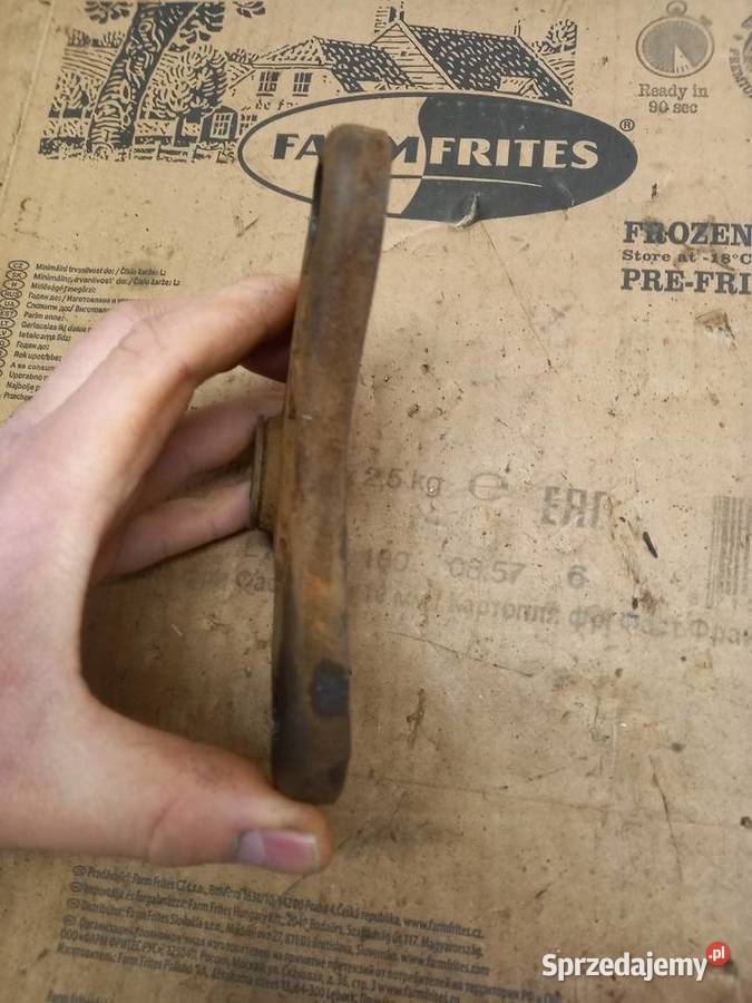 Polka zak rys Sokołów Podlaski sprzedam