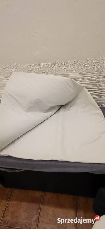 KOC PODGRZEWANY Sosnowiec sprzedam