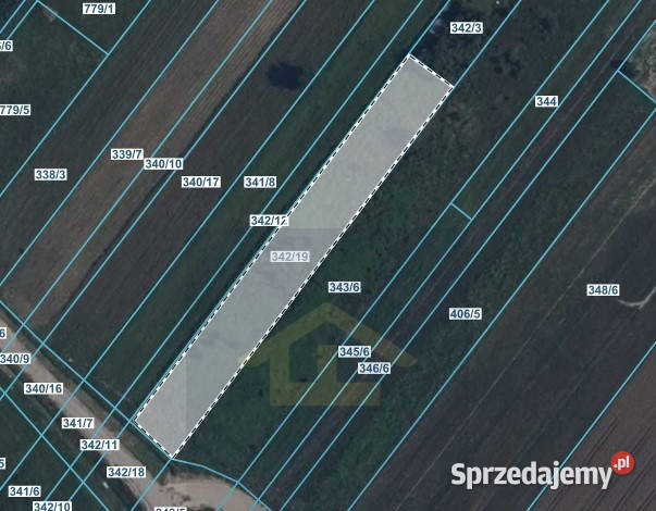 Działka w Gadce gmina Kołbiel Nieruchomości Gadka