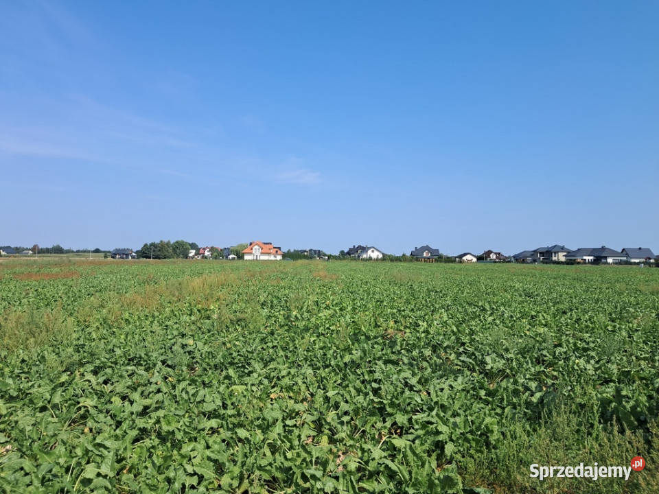 Działka budowalna 16a Gm Puchaczów Turowola Turowola-Kolonia
