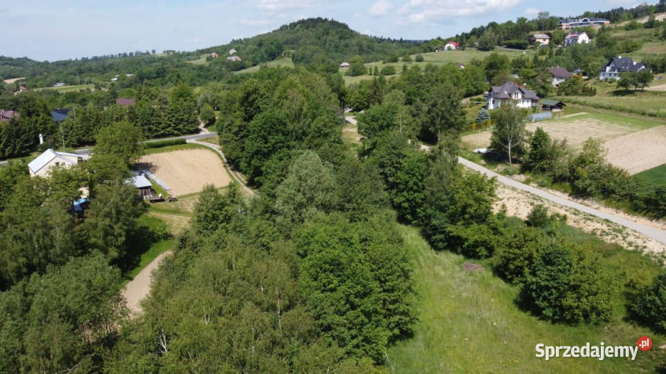Do sprzedaży grunt 2600m2 Korczyna Leśna podkarpackie sprzedam