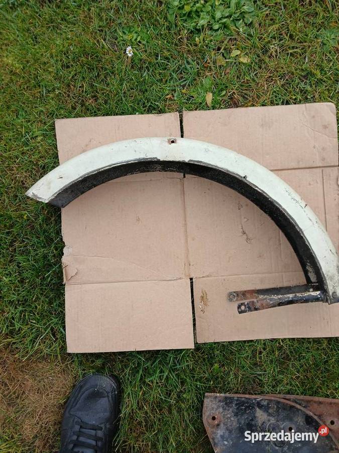 Blotnik przedni komar Pajęczno