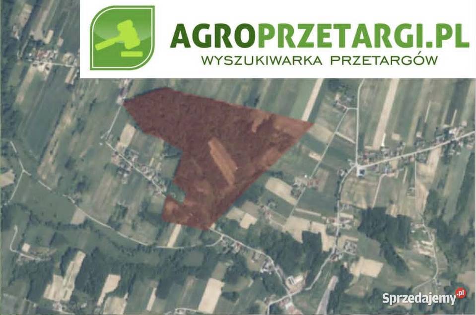 Dzierżawa 2523 ha gruntu rolnego rolna świętokrzyskie Starachowice