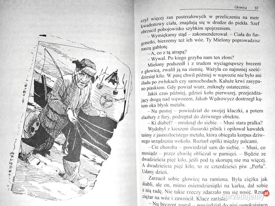 Kroniki Jakuba Wędrowycza Andrzej Pilipiuk Chełm