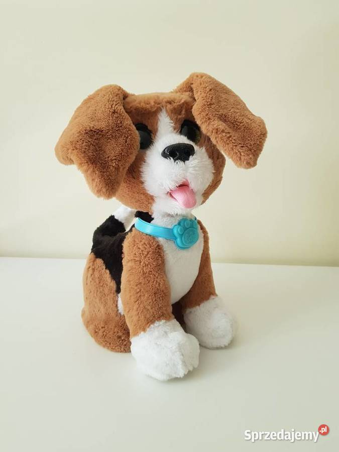 Furreal Friends Rozgadany Charlie Rozszczekany mazowieckie Warszawa
