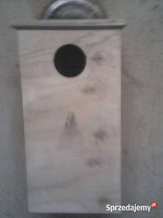 Budka Wysoka Papuga śląskie sprzedam