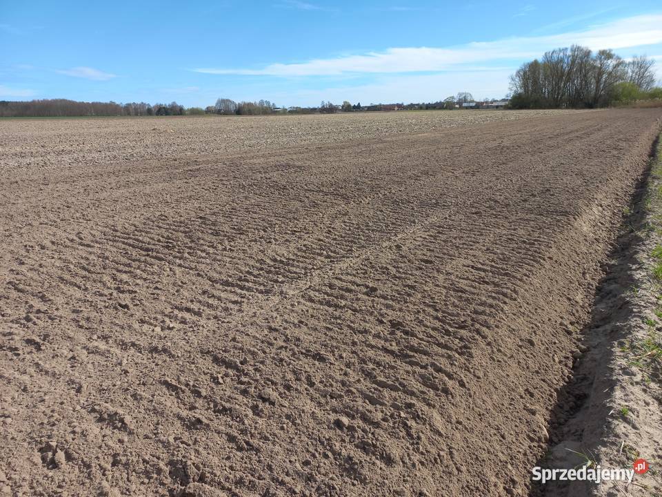 Agregat uprawowy przedsiewny kompaktor Agripol dolnośląskie Strzelin