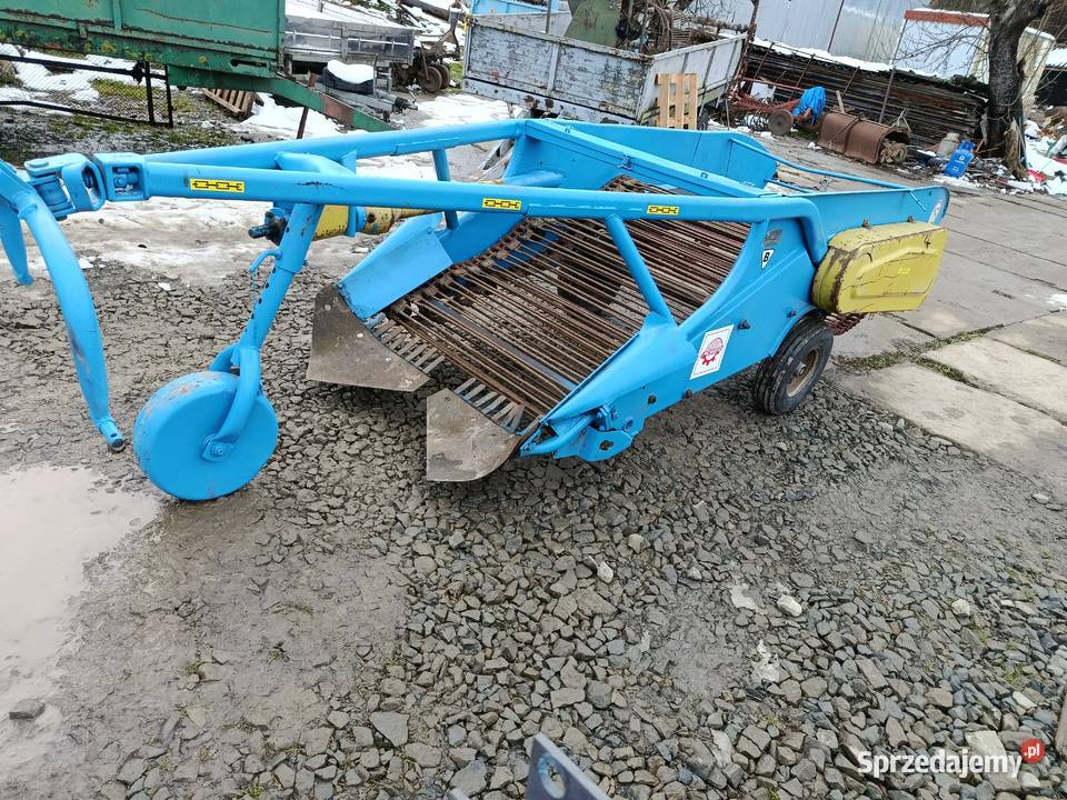 Kopaczka elewatorowa taśmy metalowe transport Limanowa