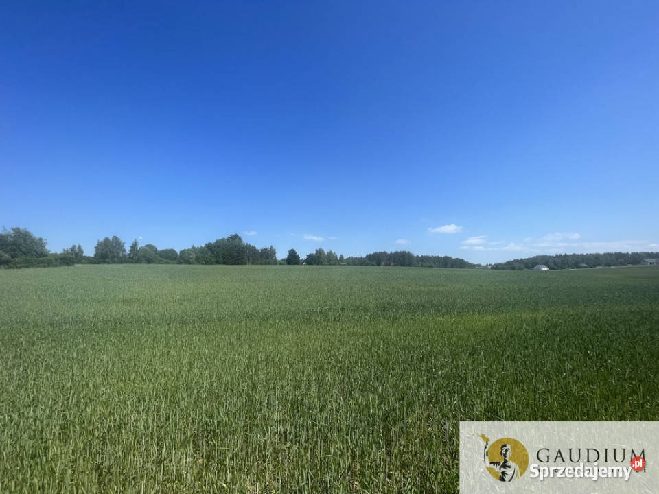 Działka o powierzchni 3012 m2 I gm Kolbudy Bielkówko
