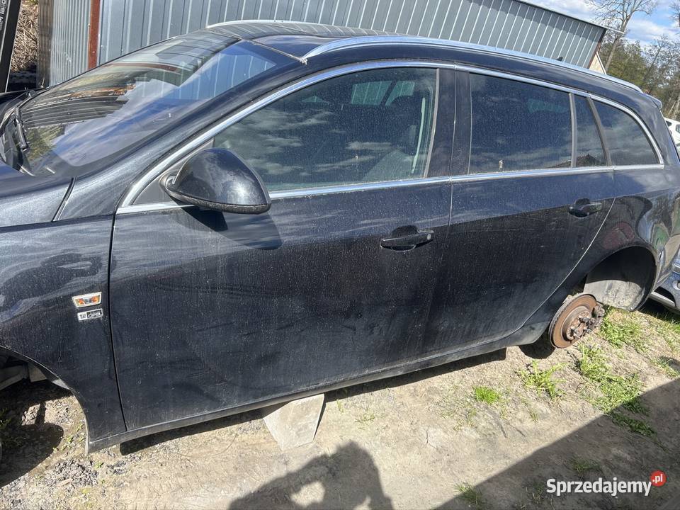 Cała na części Opel Insignia Suchary