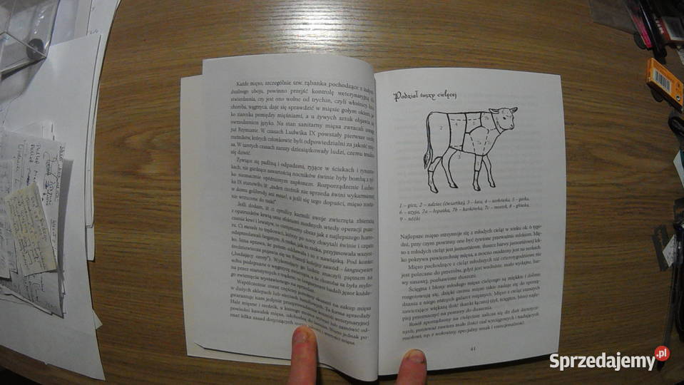 Poradnik Wędliny domowe A Fiedoruk Wwa 2004 Pabianice