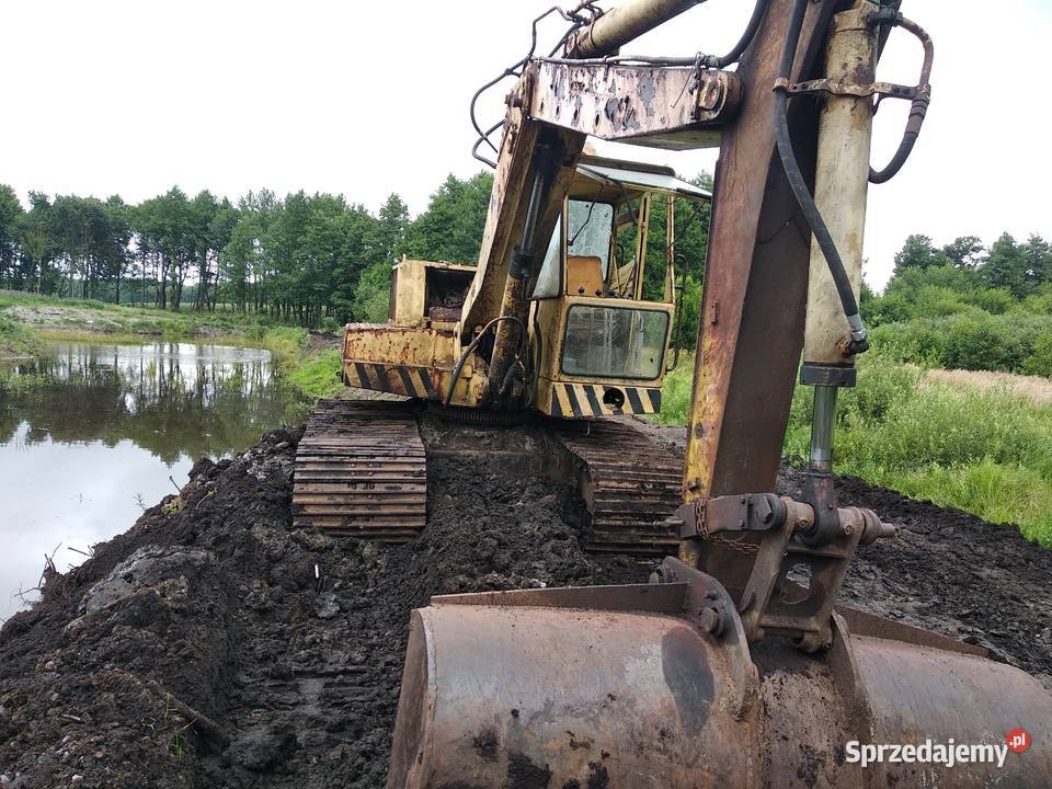 Waryński k408 Błotniak Złotnica