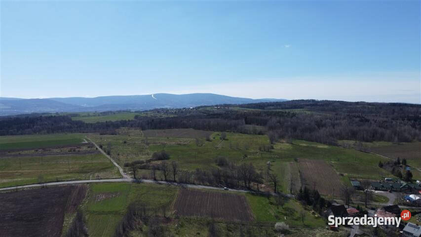 Grunt do sprzedania Złotniki Lubańskie 825m2 120zł/m2 Grunty i działki