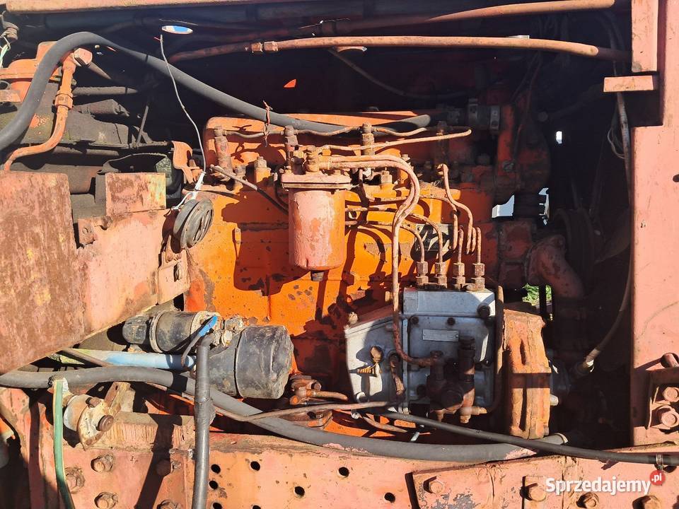 Białoruś jumz Zielona Góra