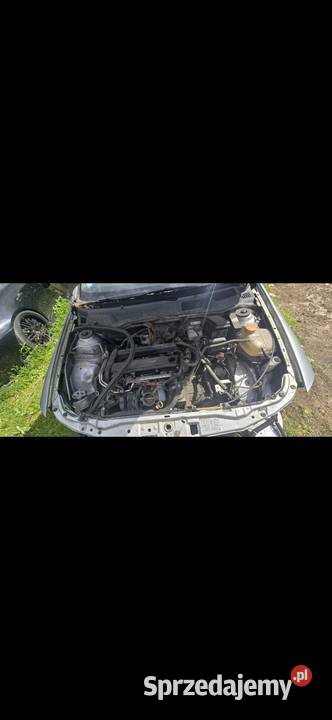 Astra Bertone Maski małopolskie Dobczyce
