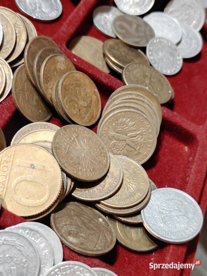 Sprzedam stare monety Numizmatyka pomorskie Gdańsk