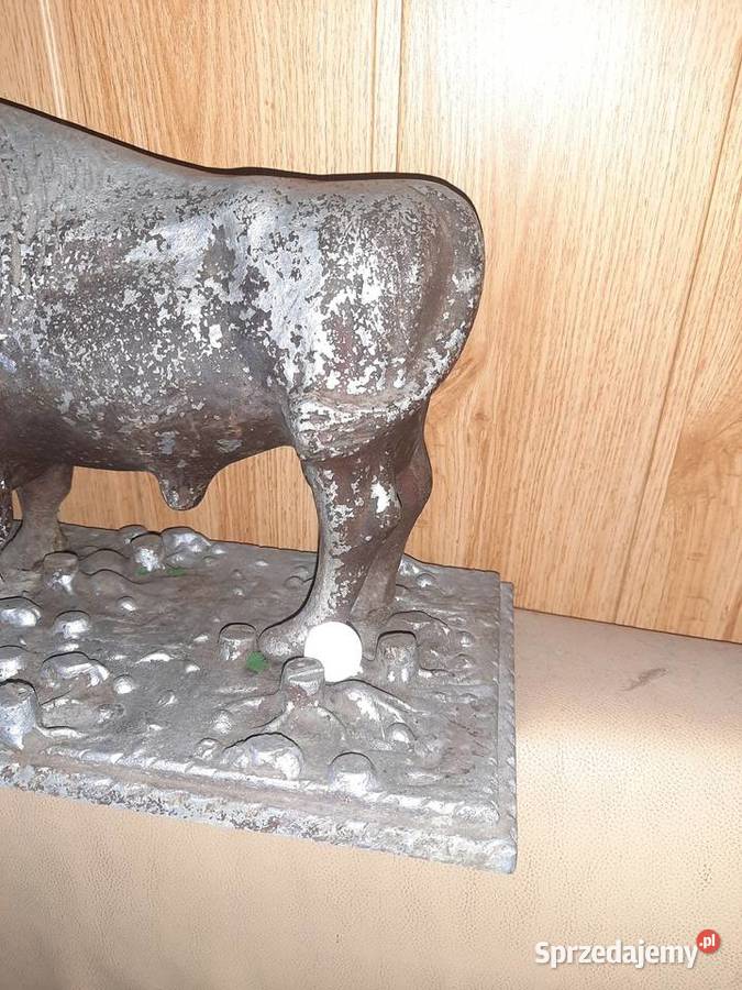 Żubr gigant Bielsko-Biała