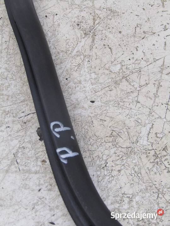 USZCZELKA DRZWI PRAWY PRZÓD PRZEDNIA CITROEN C3