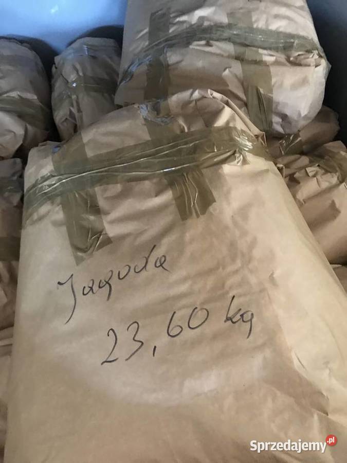 Suszona jagoda kamczacka SUPER OWOC do Rośliny przemysłowe Piotrkówko sprzedam
