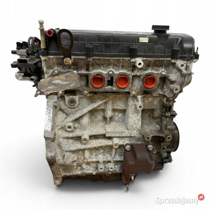 SILNIK QQDB Ford Focus II MK2 C C 18 16V 125 Silniki kompletne