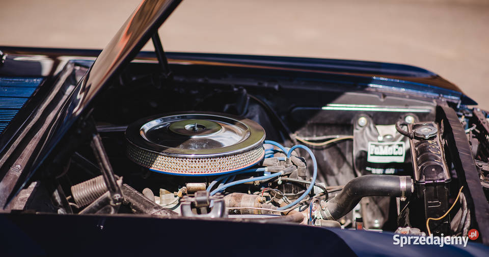 Ford Mustang Ford MUSTANG GT 1966 V8 manualna Grodzisk Mazowiecki