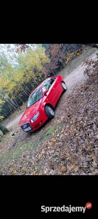 Sprzedam Audi a4b7 30tdi quattro A4 kujawsko-pomorskie Boniewo