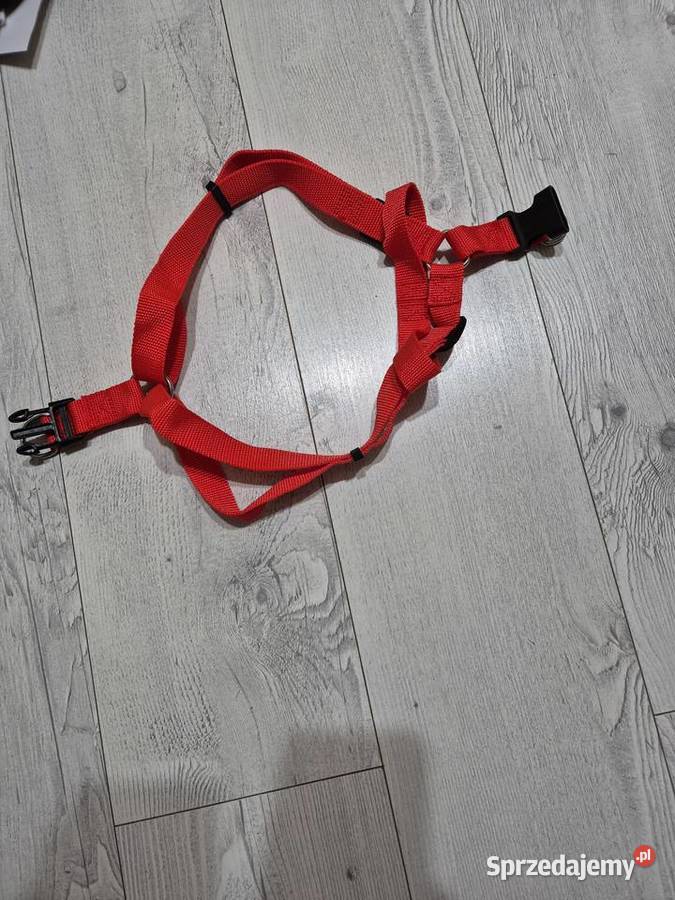 Czerwone szelki Wołczyn