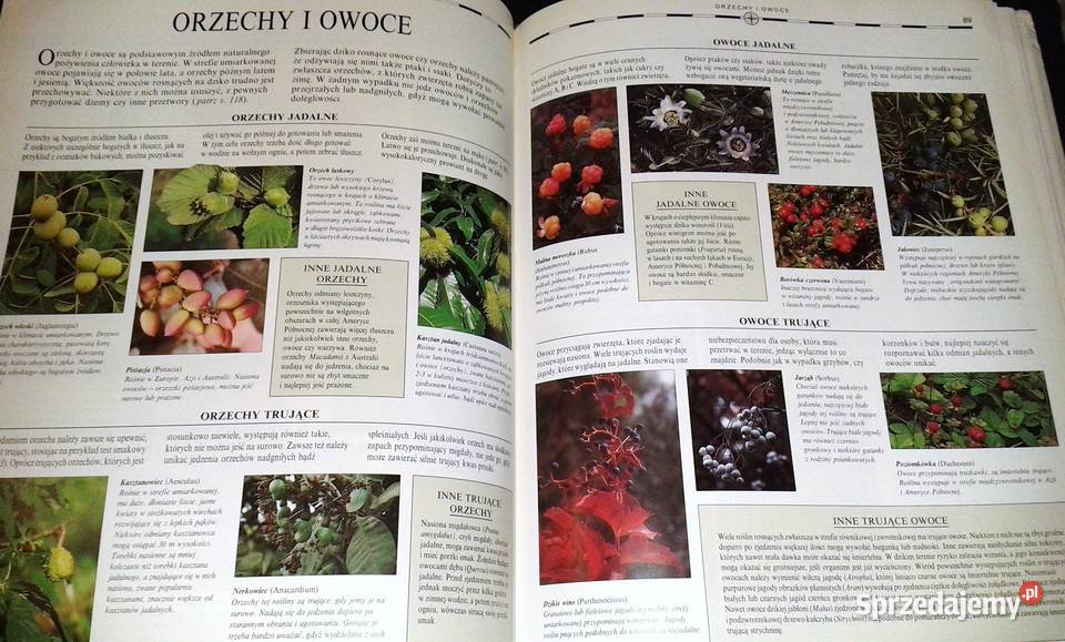 Szkoła przetrwania Hugh McManners Chełm