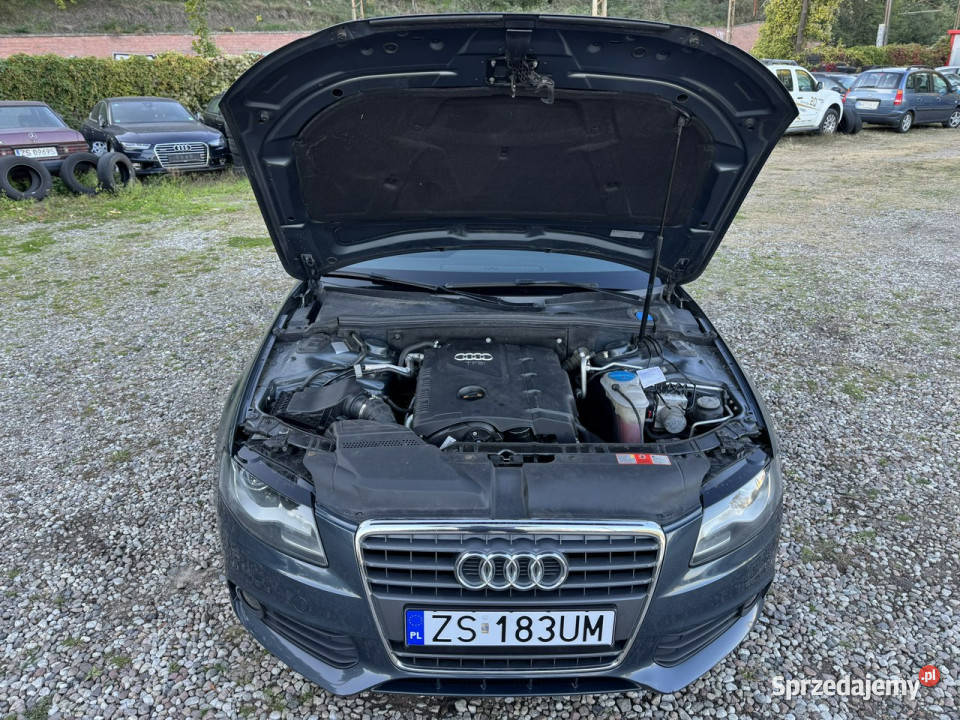 Audi A4 lakier metallic zachodniopomorskie Szczecin