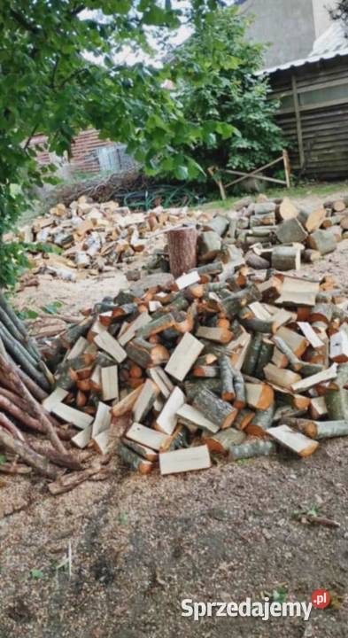 Drzewo Opałowe Opole