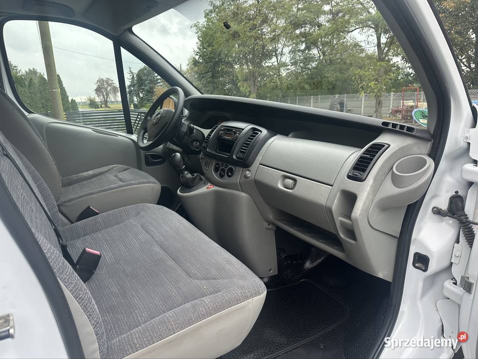 Opel Vivaro 20dci wielkopolskie Pogorzela