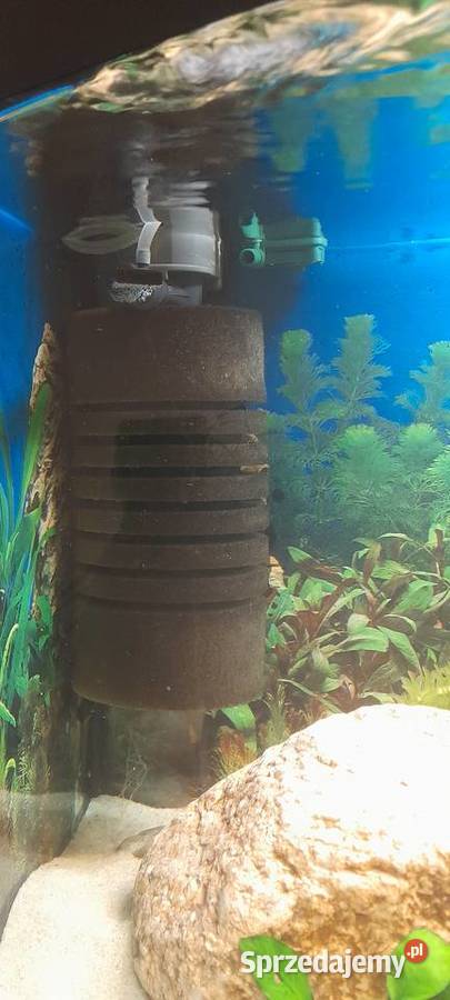 Akwarium Kompletne z rybami 100l sprzedam