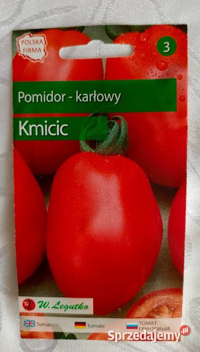 Sadzonka pomidora karłowatego Kmicic Łódź