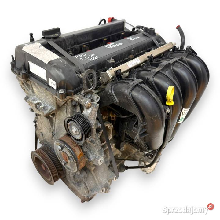 SILNIK AODA Ford Focus II MK2 C 20 16V 145 SYDA osobowe Silniki kompletne Chełm