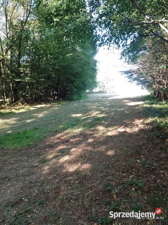 Działka budowlanolesna małopolskie Zawada