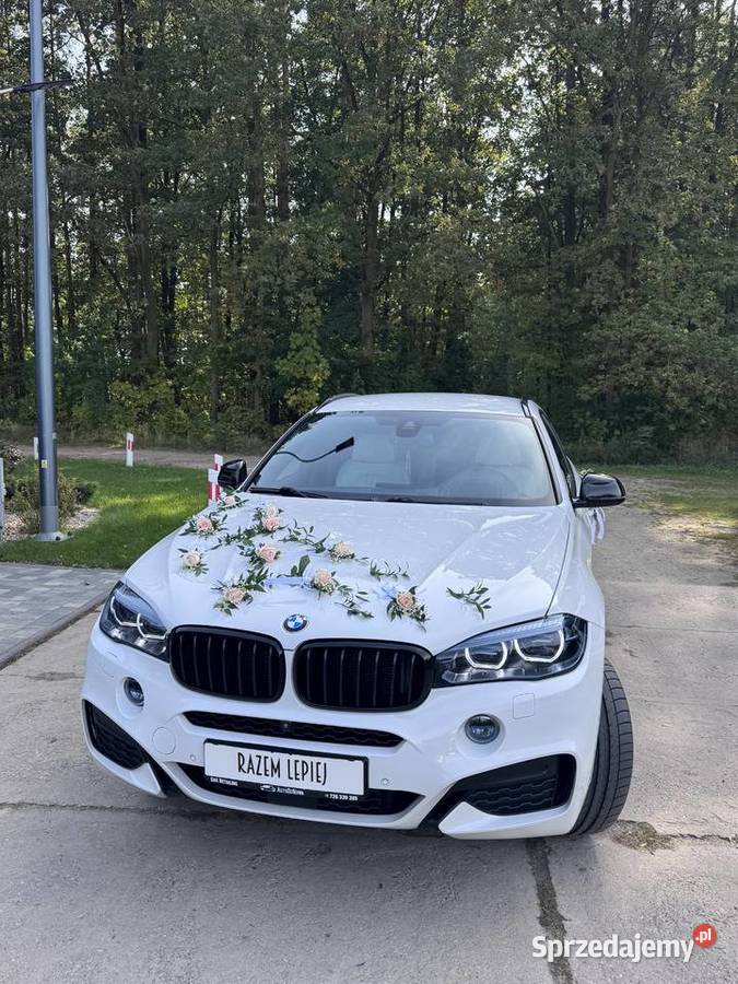 Sprzedam BMW X6 INDVIDUAL 40D Salon Polska X6 wielkopolskie