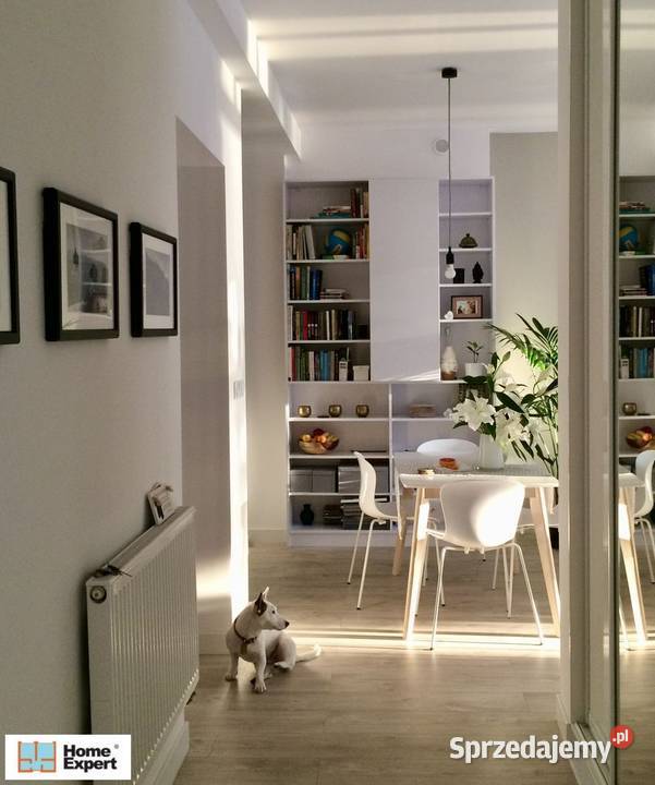 2pok 50met Daszyńskiego REMONCIE Wrocław Sprzedaż dolnośląskie