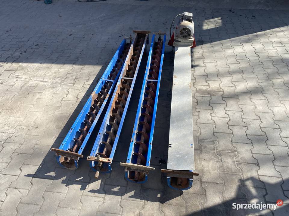Żmijka korytowa Kongskilde 8m lubelskie Dawidy