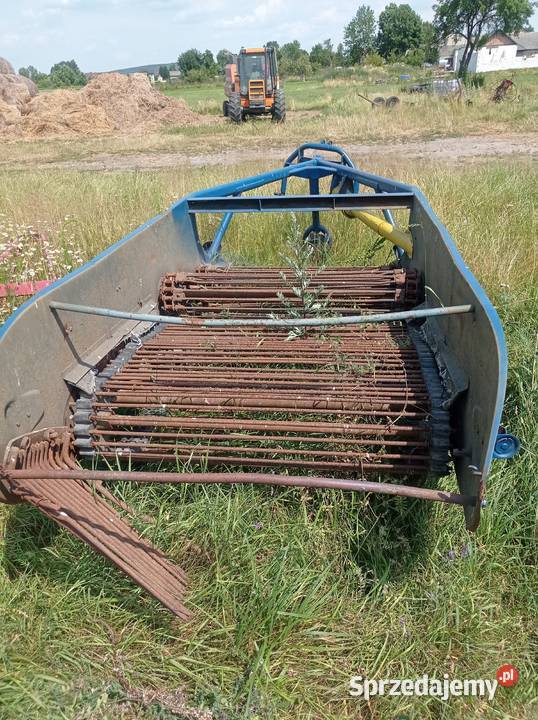 Kopaczka elewatorowa