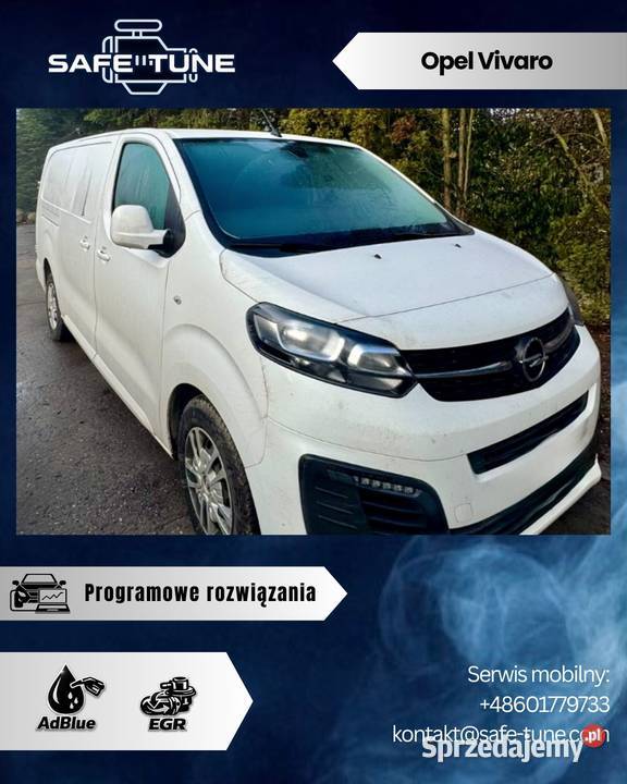 Programowe Usuwanie Wyłączanie SCRADBLUE DPF EGR Kraków